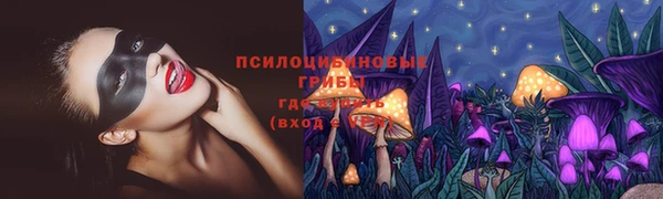 ECSTASY Алексин