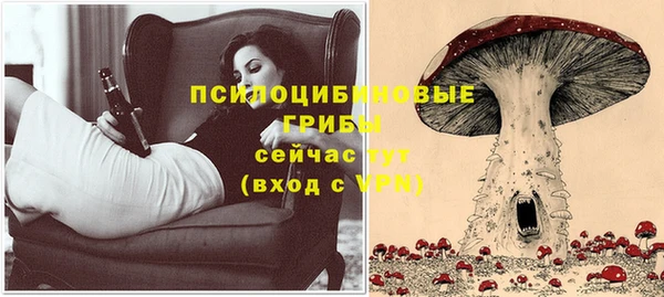 прущая мука Алзамай