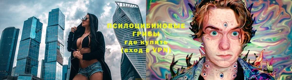 ECSTASY Алексин