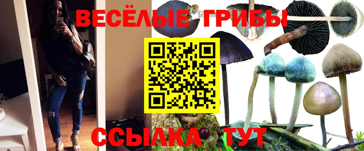 Псилоцибиновые грибы Magic Shrooms Ливны