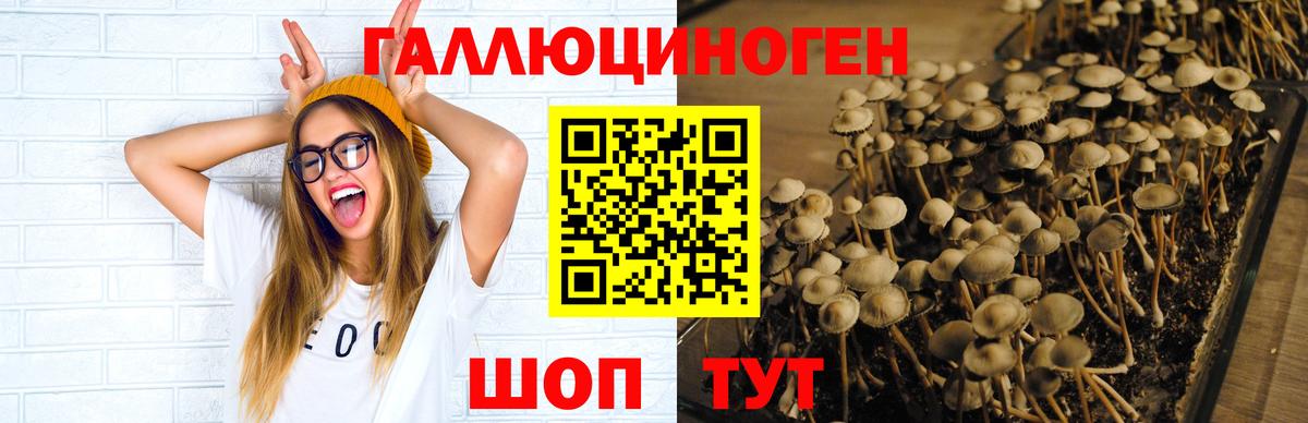 Ливны  Псилоцибиновые грибы MAGIC MUSHROOMS  Вход с VPN 